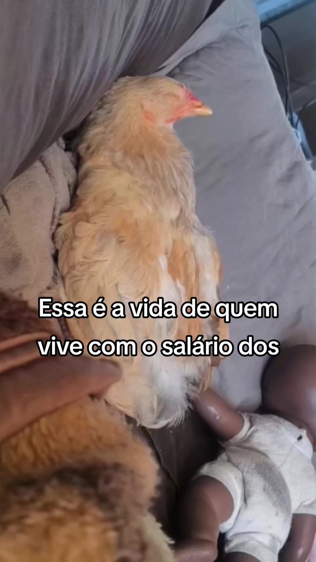 @Nat&aacute;lia e Beatriz 🐣