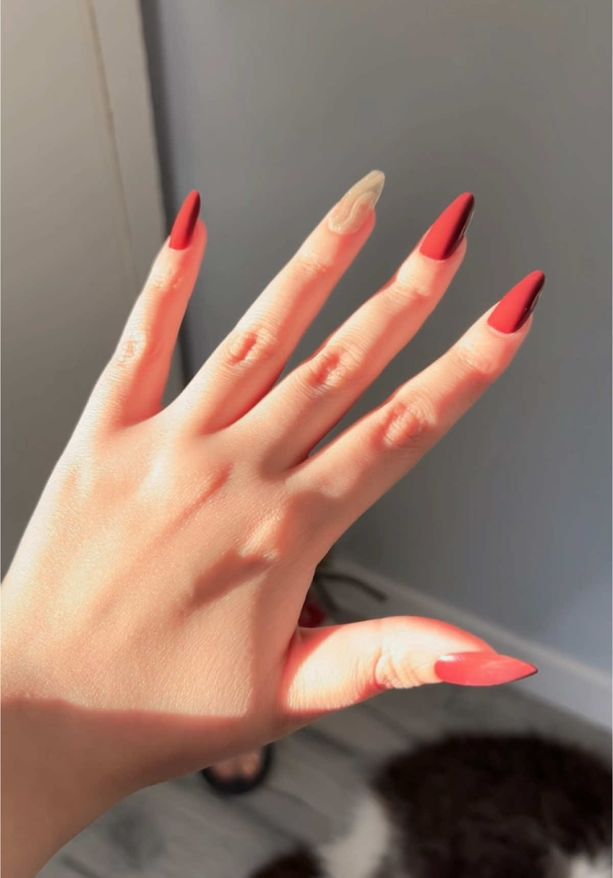 @OlfaBoubkrr