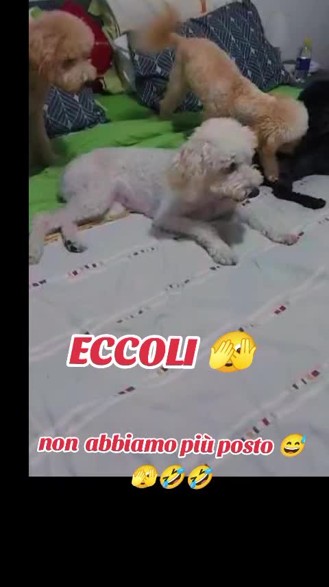 @Julie in Italy