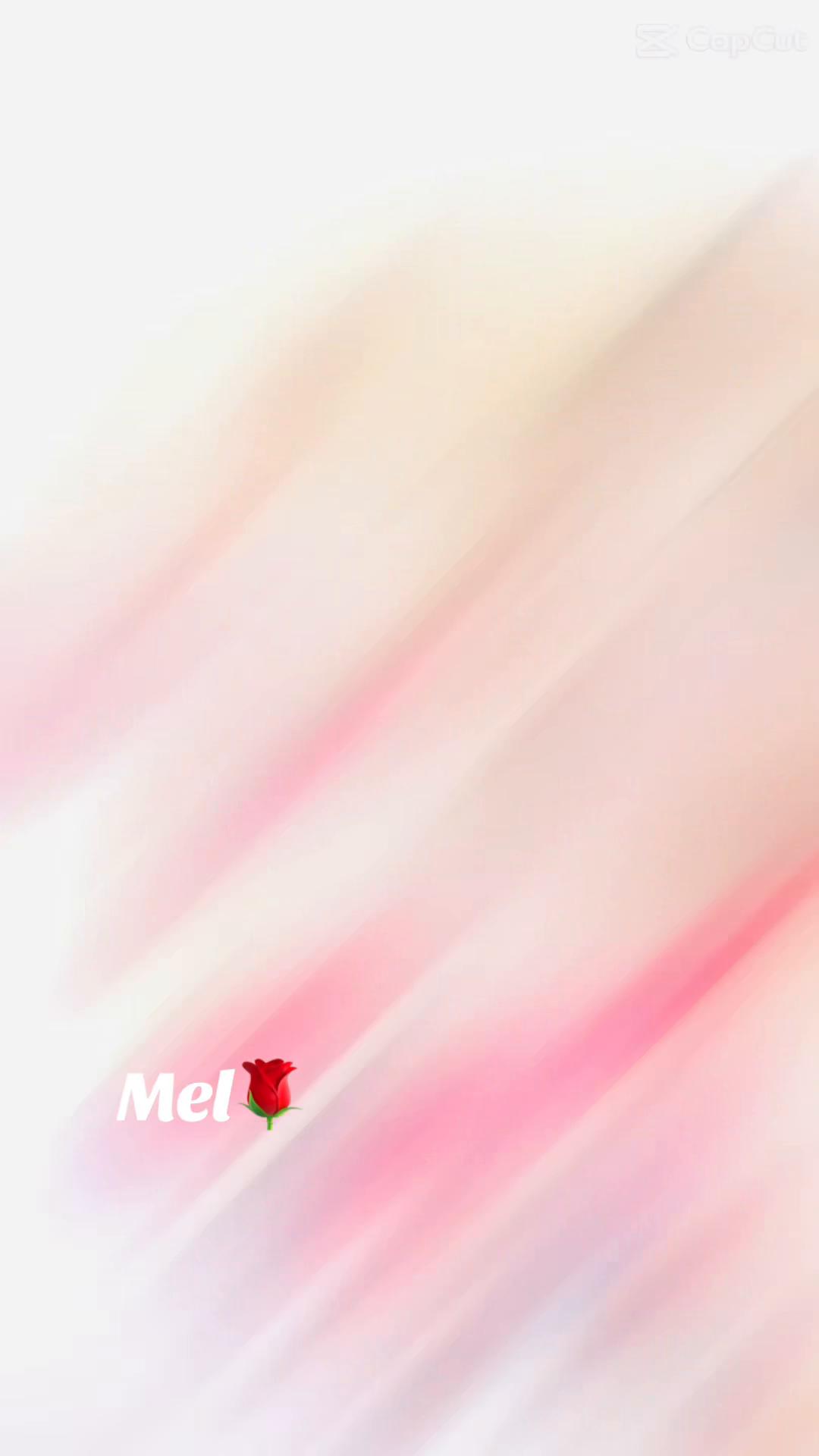 @MEL THE CEO