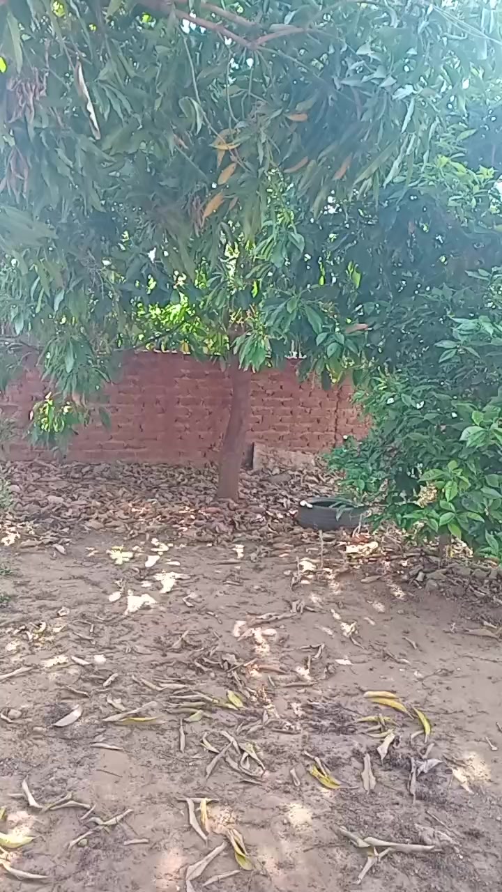@Mai kutuza