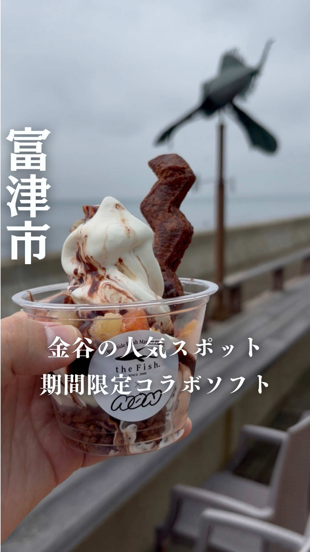 @ゆき姉|60代、千葉・内房ひとり旅グルメ