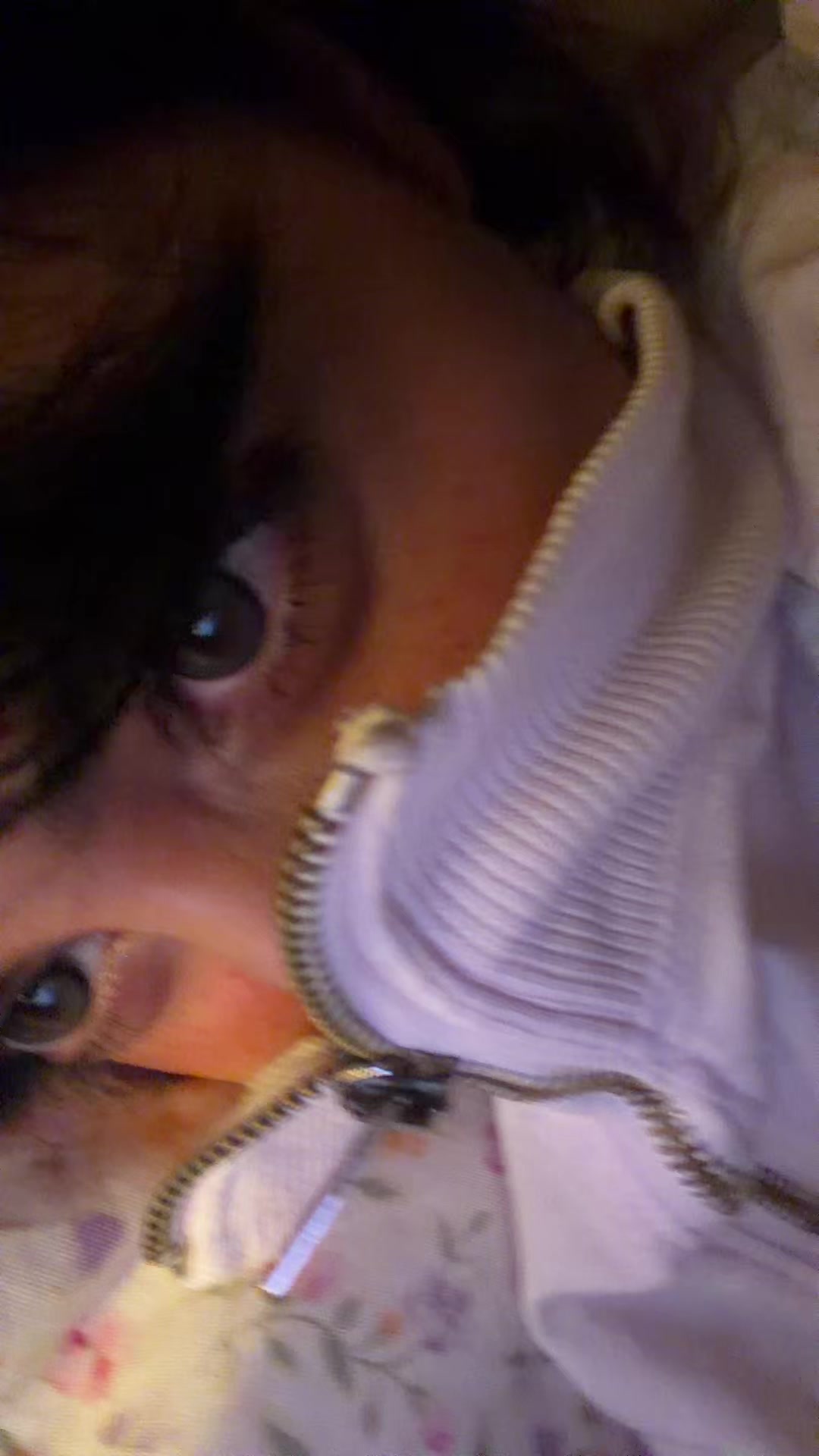 @obvasrah