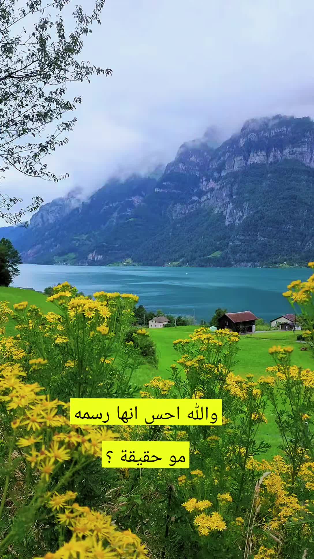 @Akil Alhalmi عقيل الحالمي