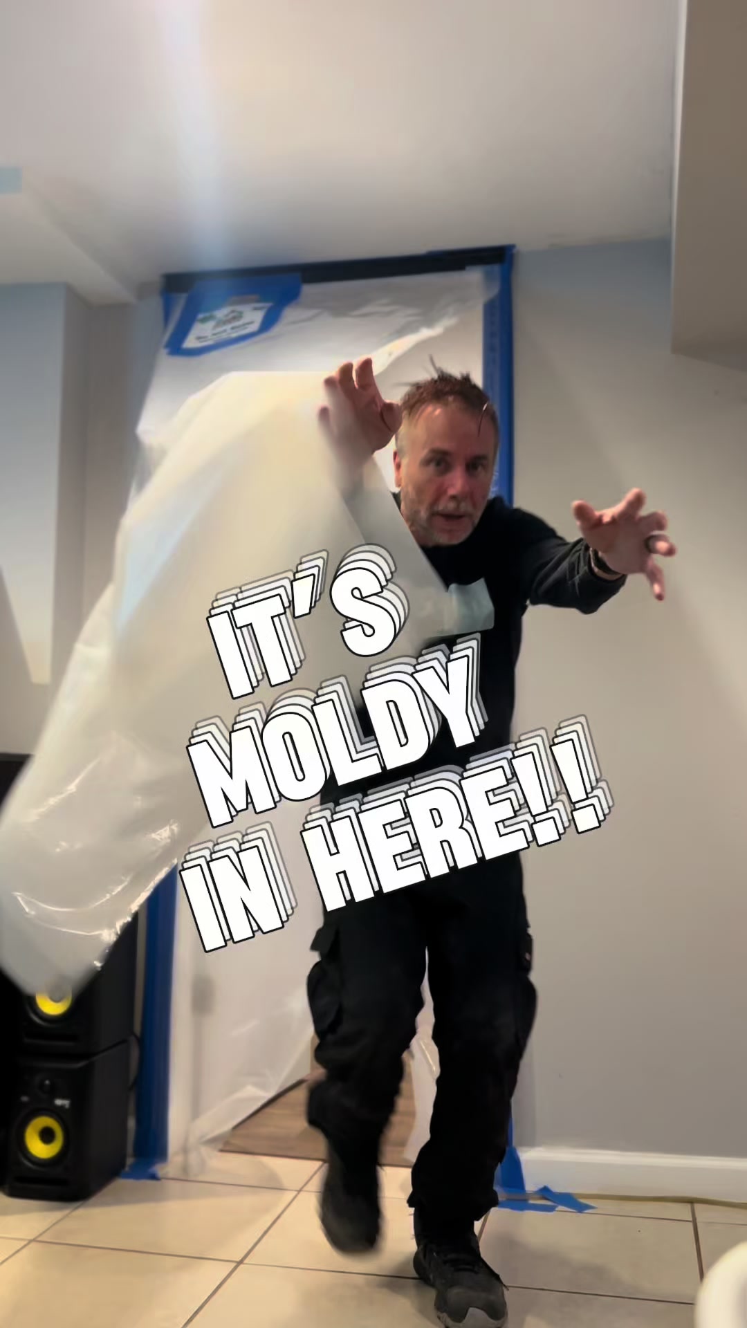 @Long Island Mold Guy