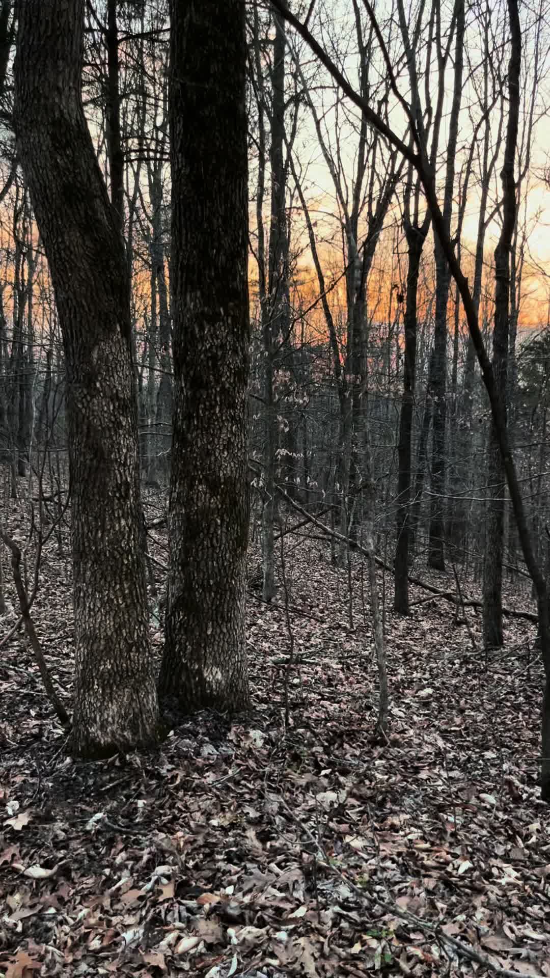 @Jeremy. 1234