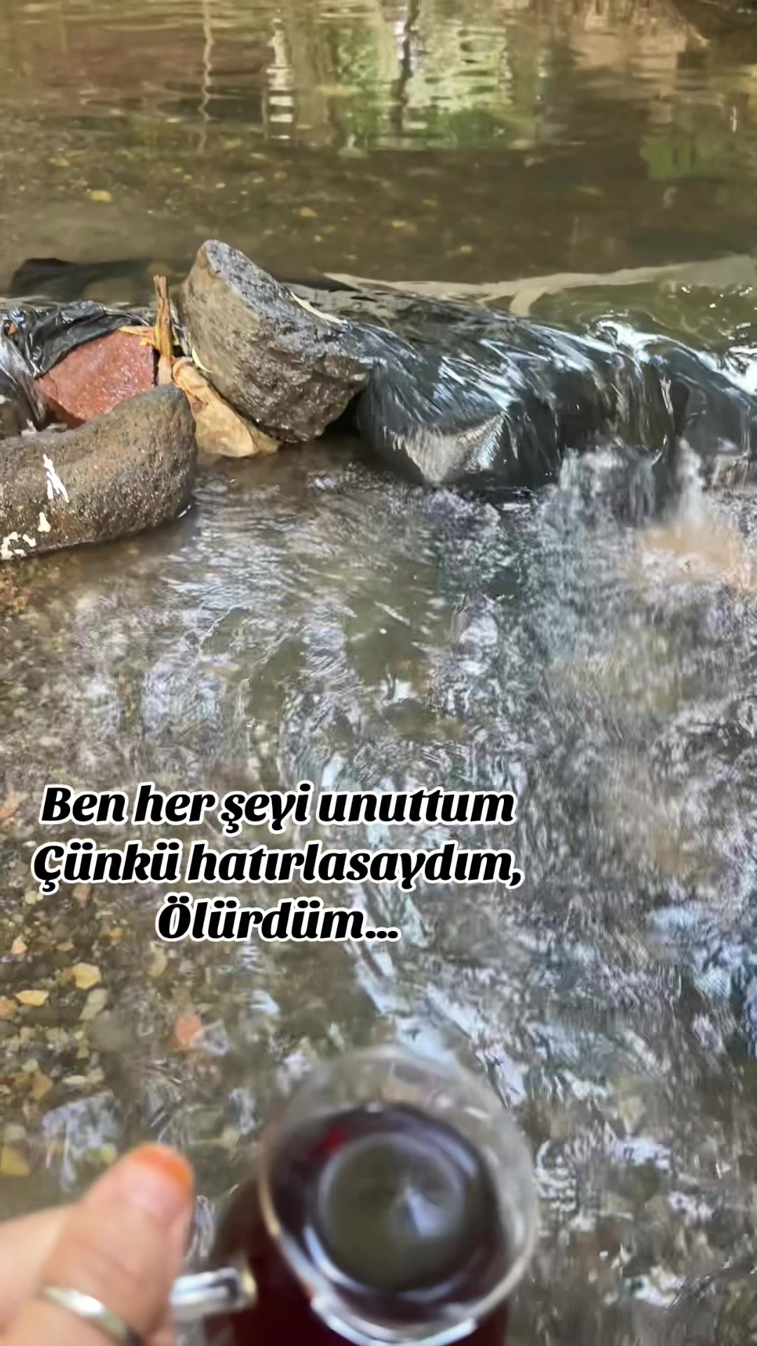 @gokyuzu.12.12