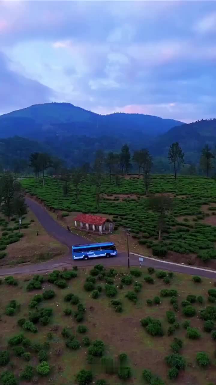 @🅚︎🅛︎ 34 ബസ്പ്രേമി
