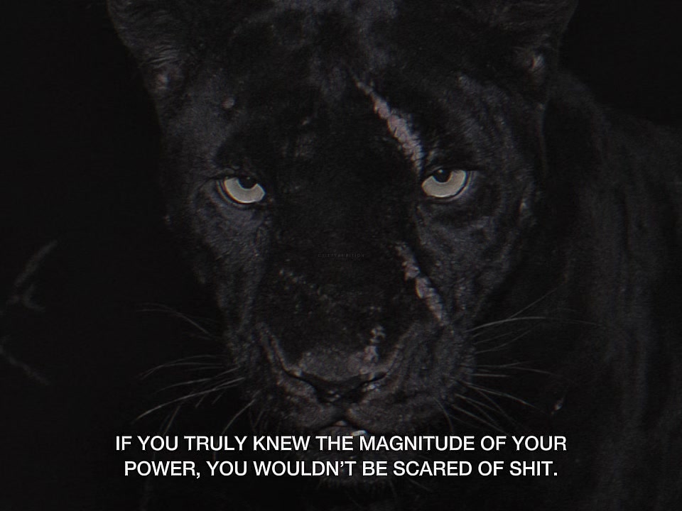 @Gritty Ambition