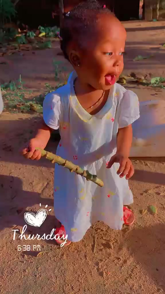 @cham 22