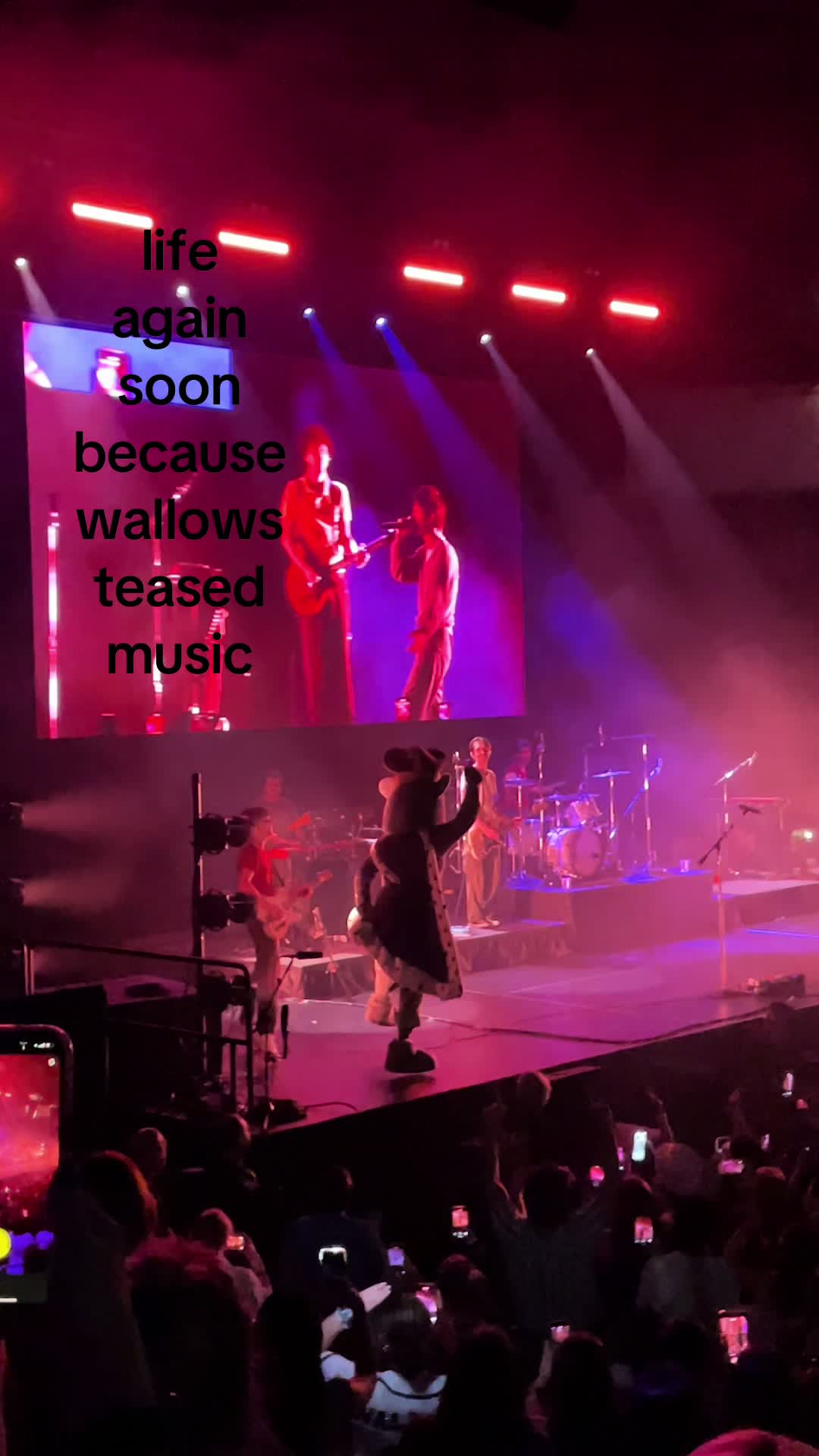 @cameronthiesss