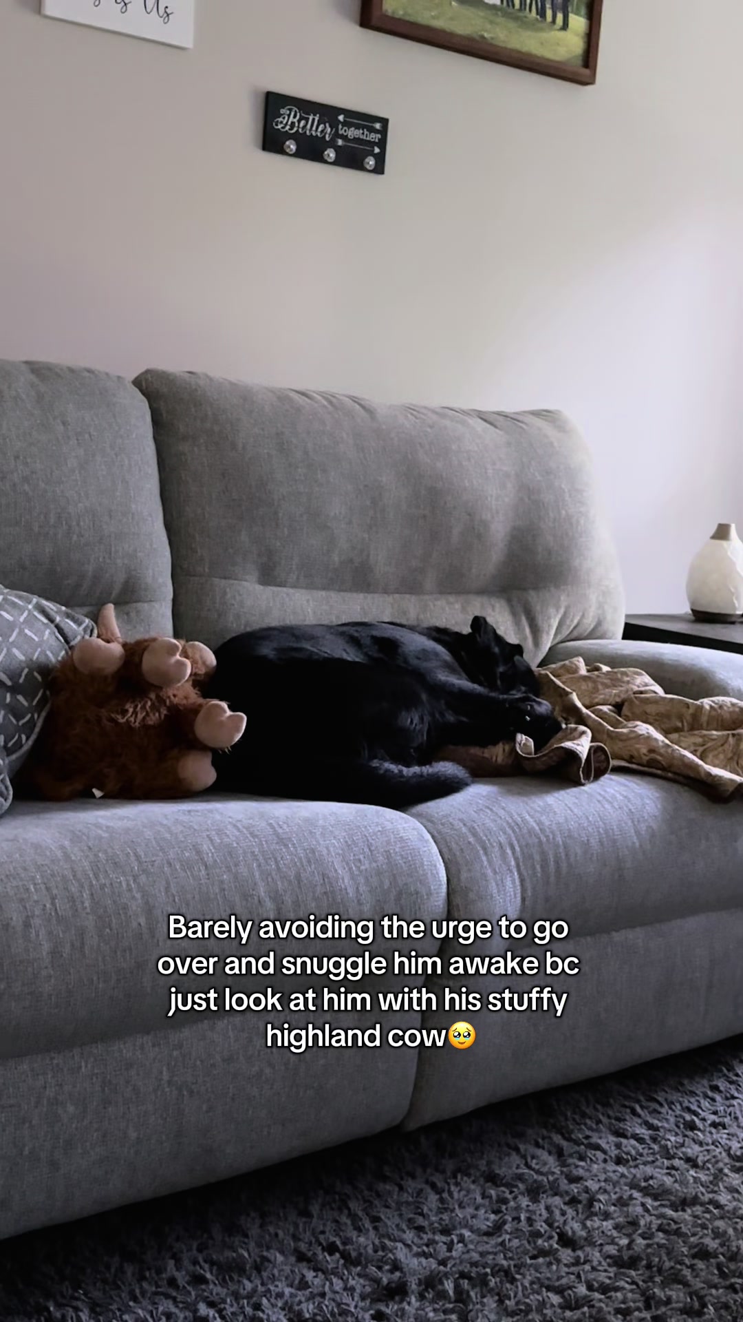 @Gunner the Good Boy Black Lab