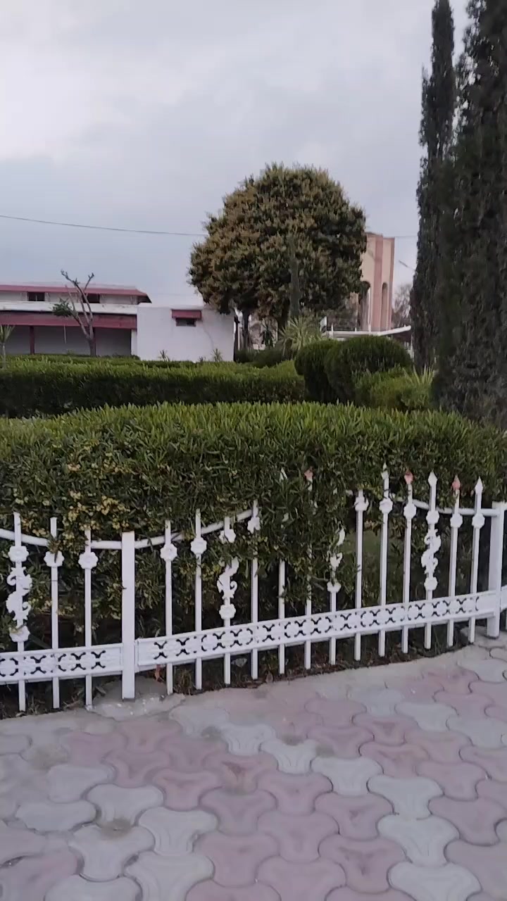 @ناصر خان وزیر