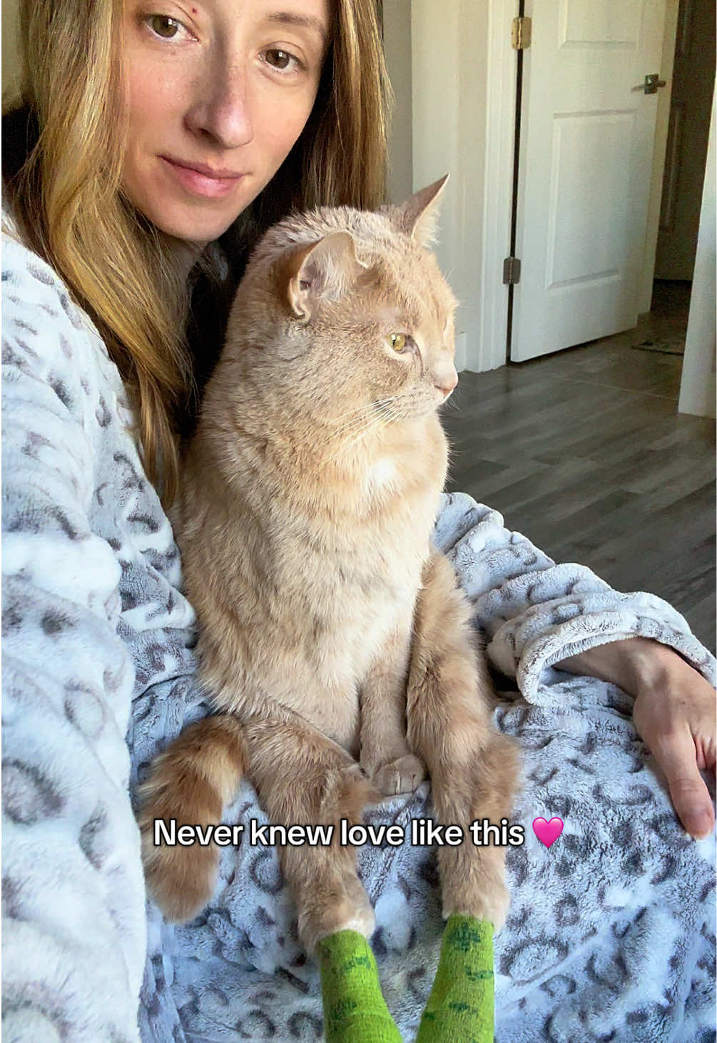 @Low Ryder Kitty
