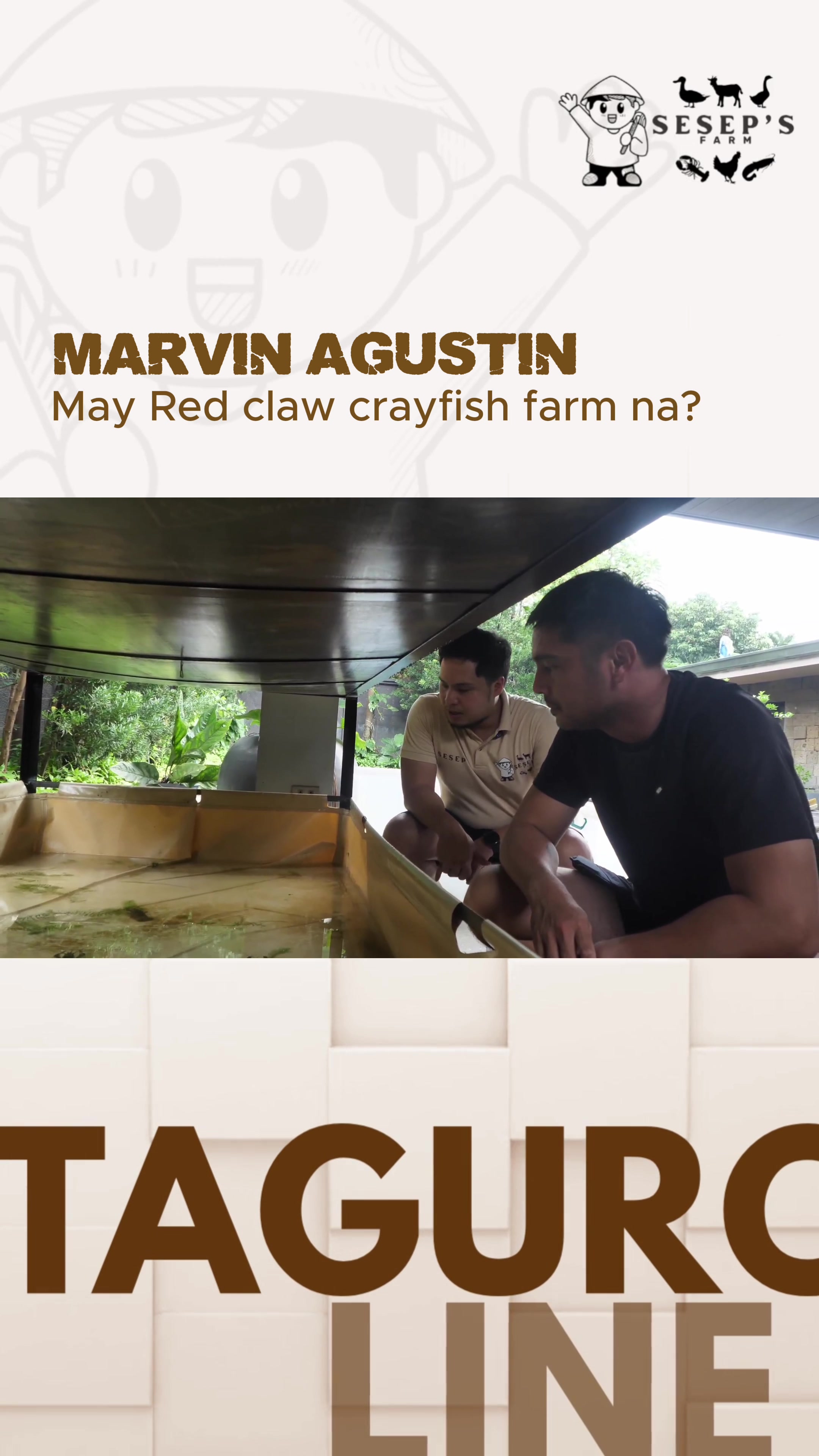 @Seseps Farm