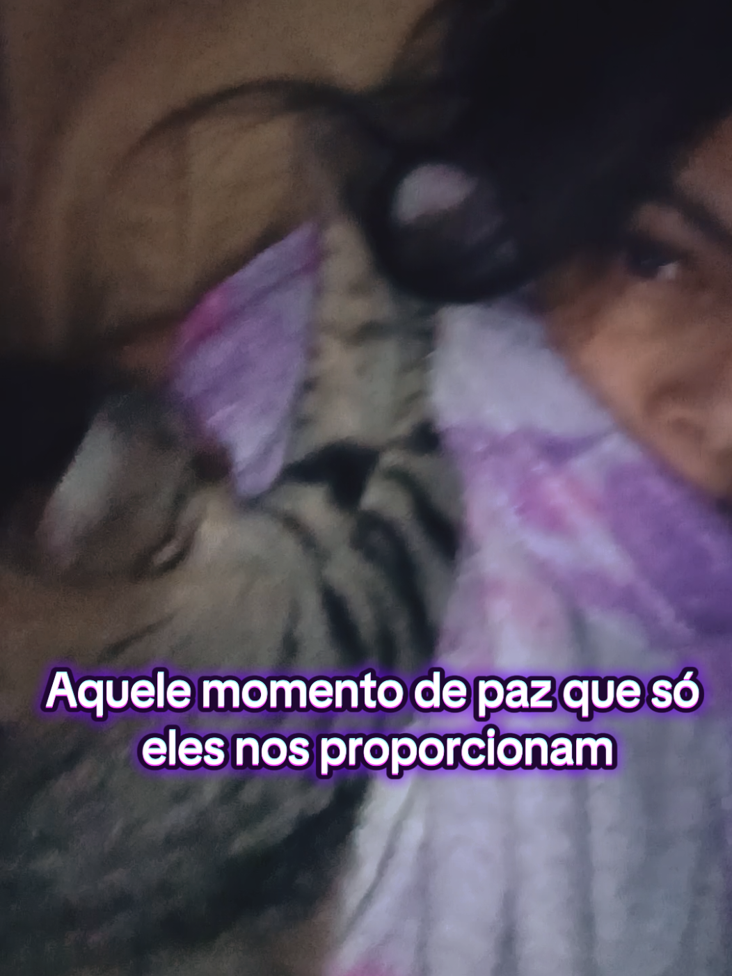 @Amordequatropatas