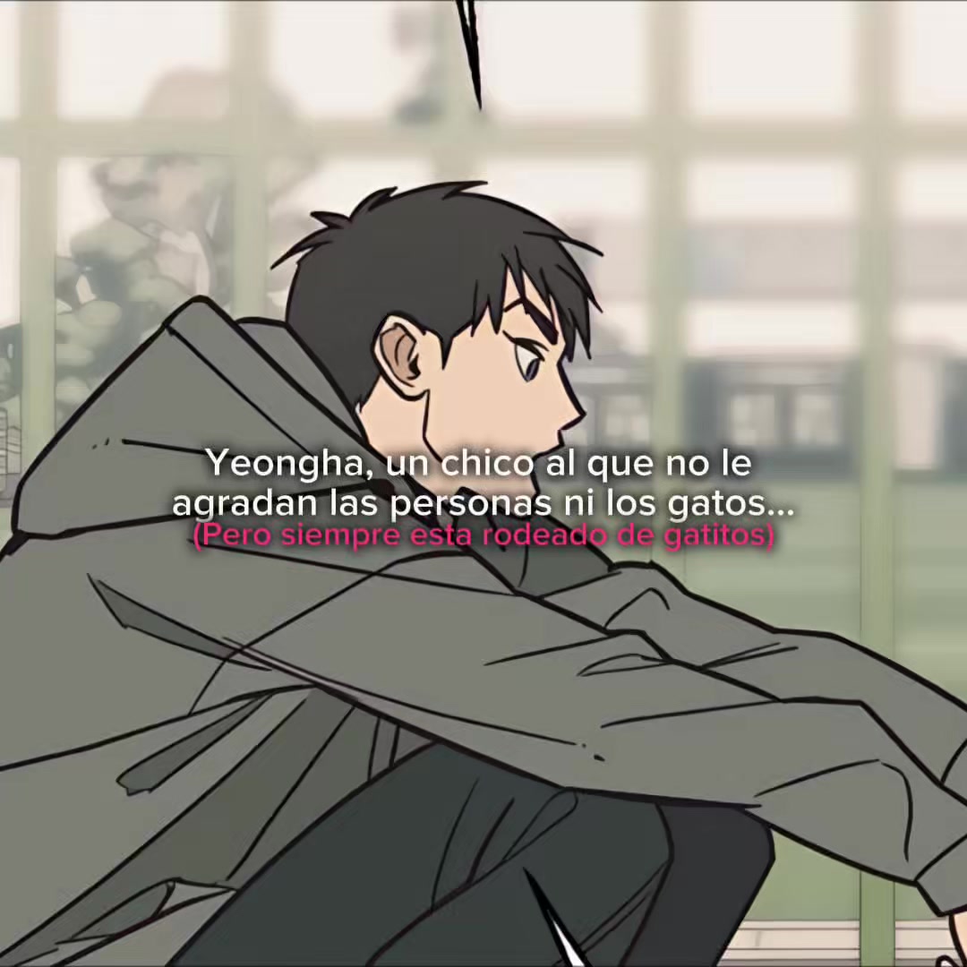 @⋆꙳❅‧͙𝙎𝙣𝙤𝙬𝙁𝙡𝙠𝙨‧͙⋆꙳