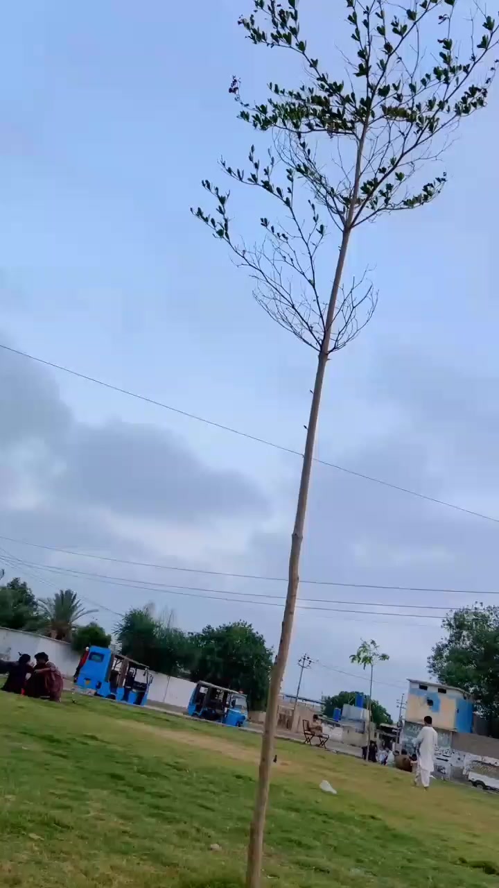 @s Shoaib ❤️🩹jani