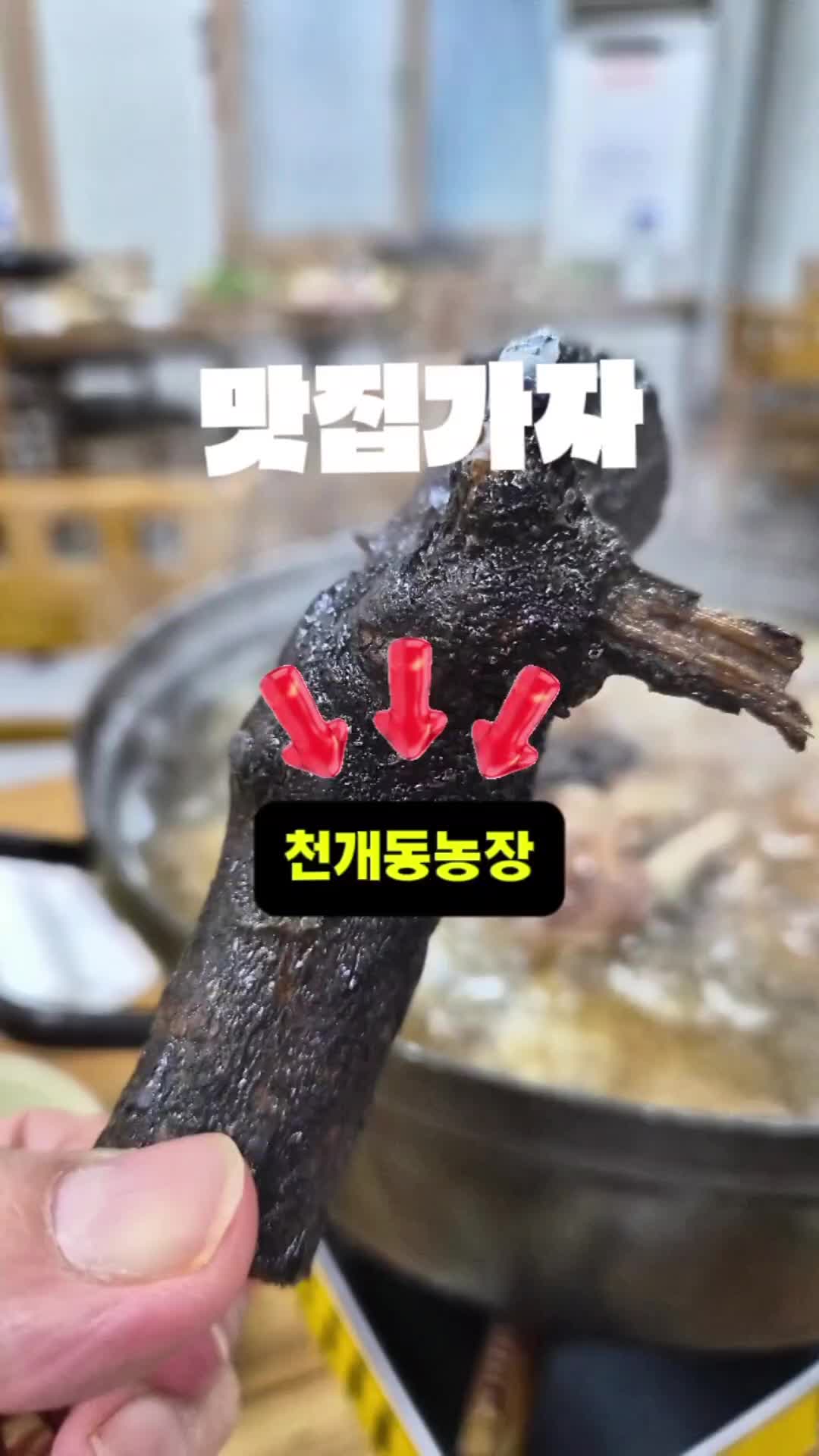 @뚜띠쿠치나옥천