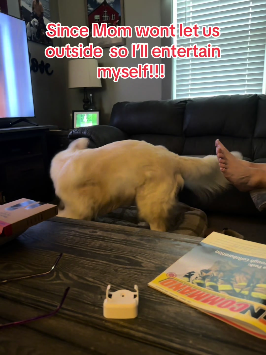 @Golden_mom