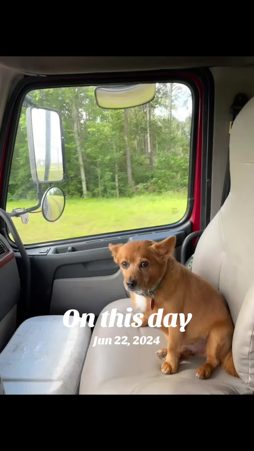 @Tacoslut🤪🌮