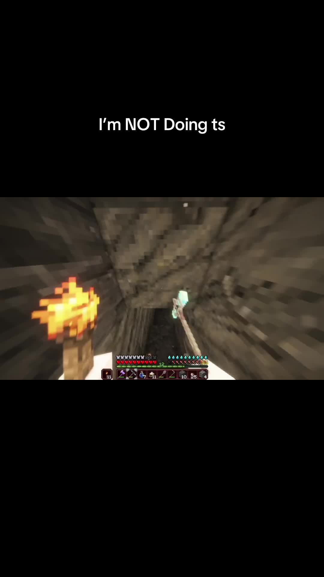 @V1 shrimp version