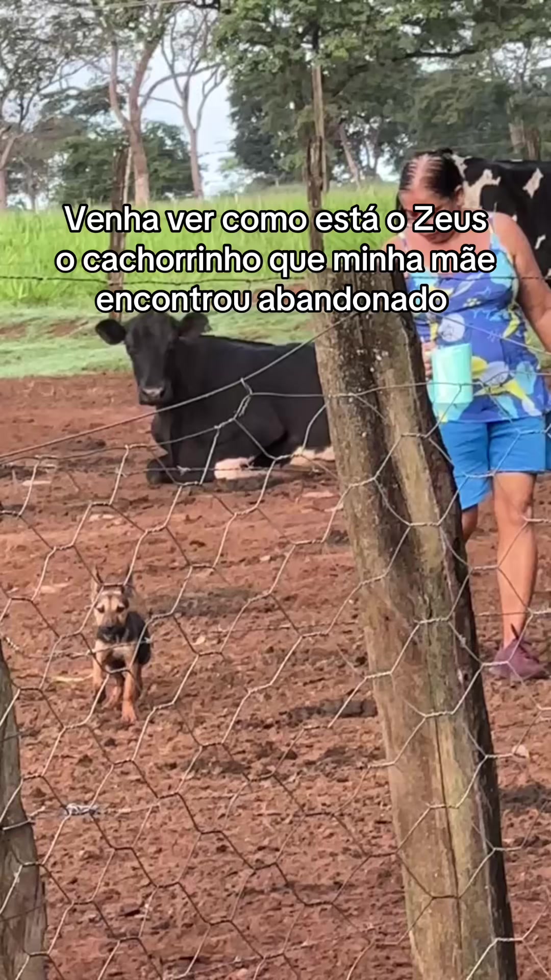 @Ai Tati