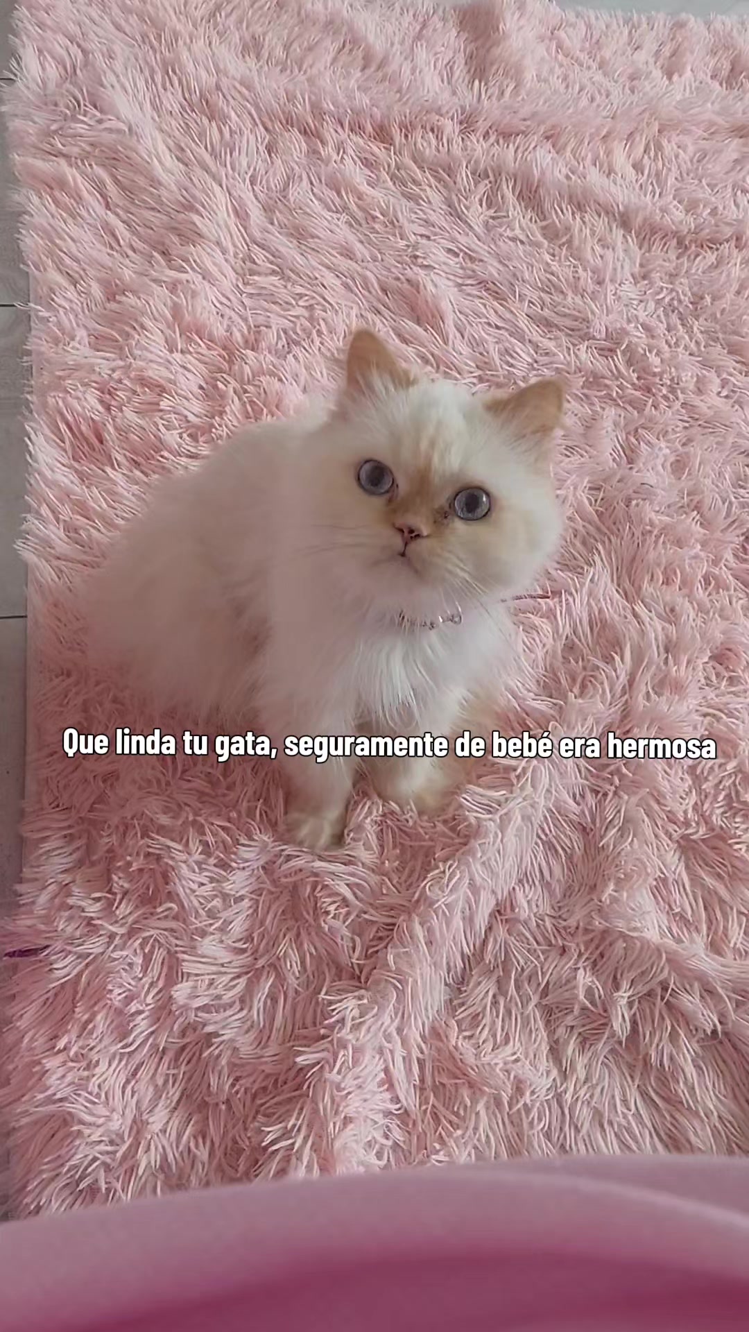 @Mahpeiker
