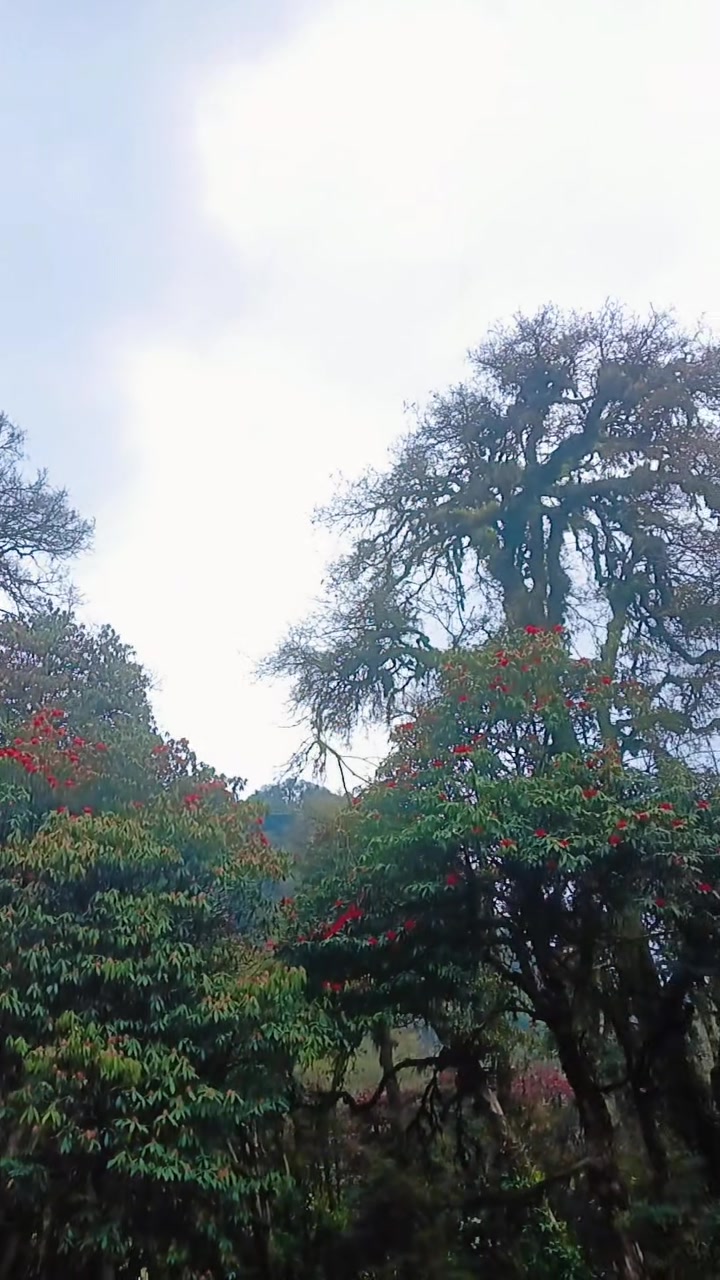 @NaNu_GuPtA_oP_