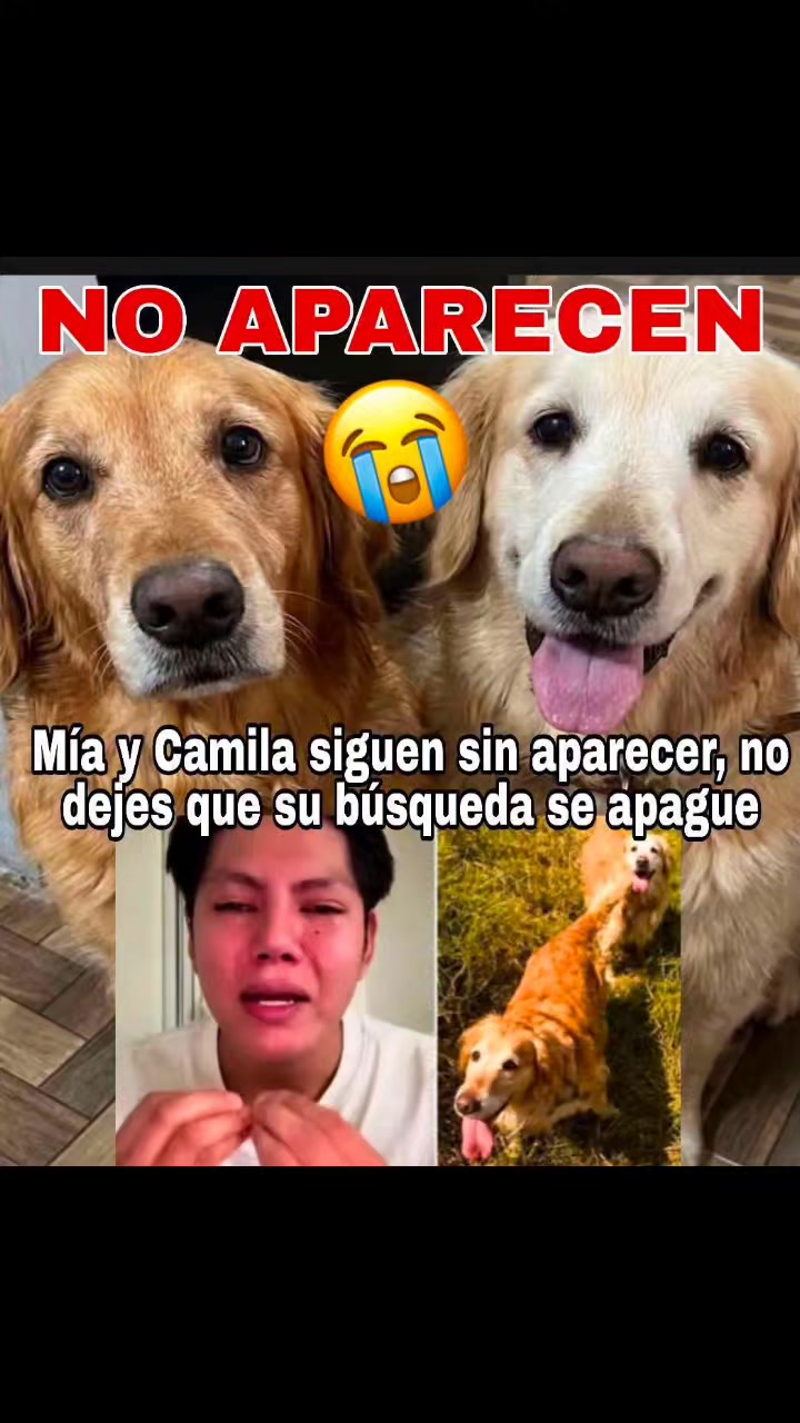 @varcan❤️