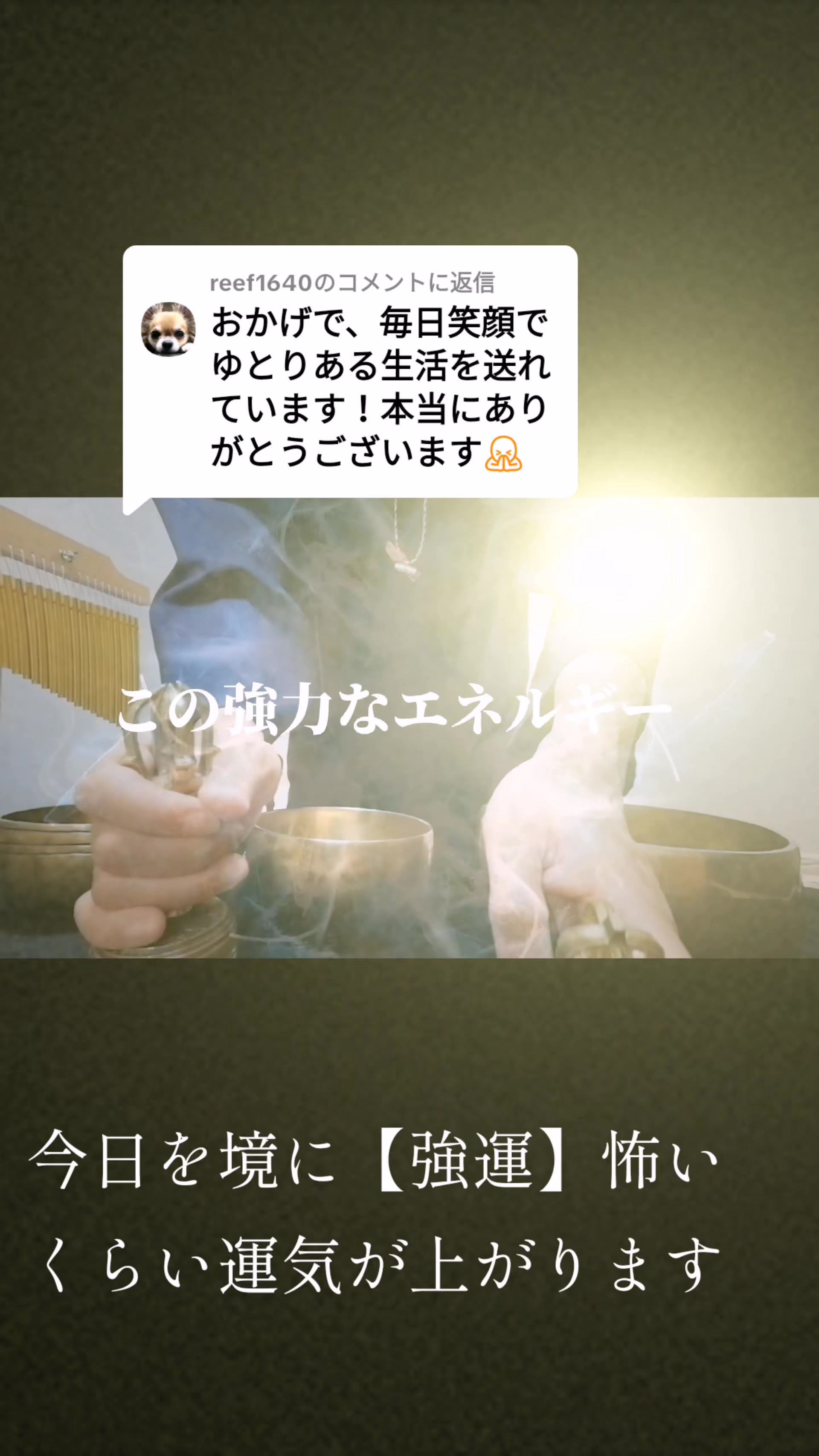@開運の黄金らいおん