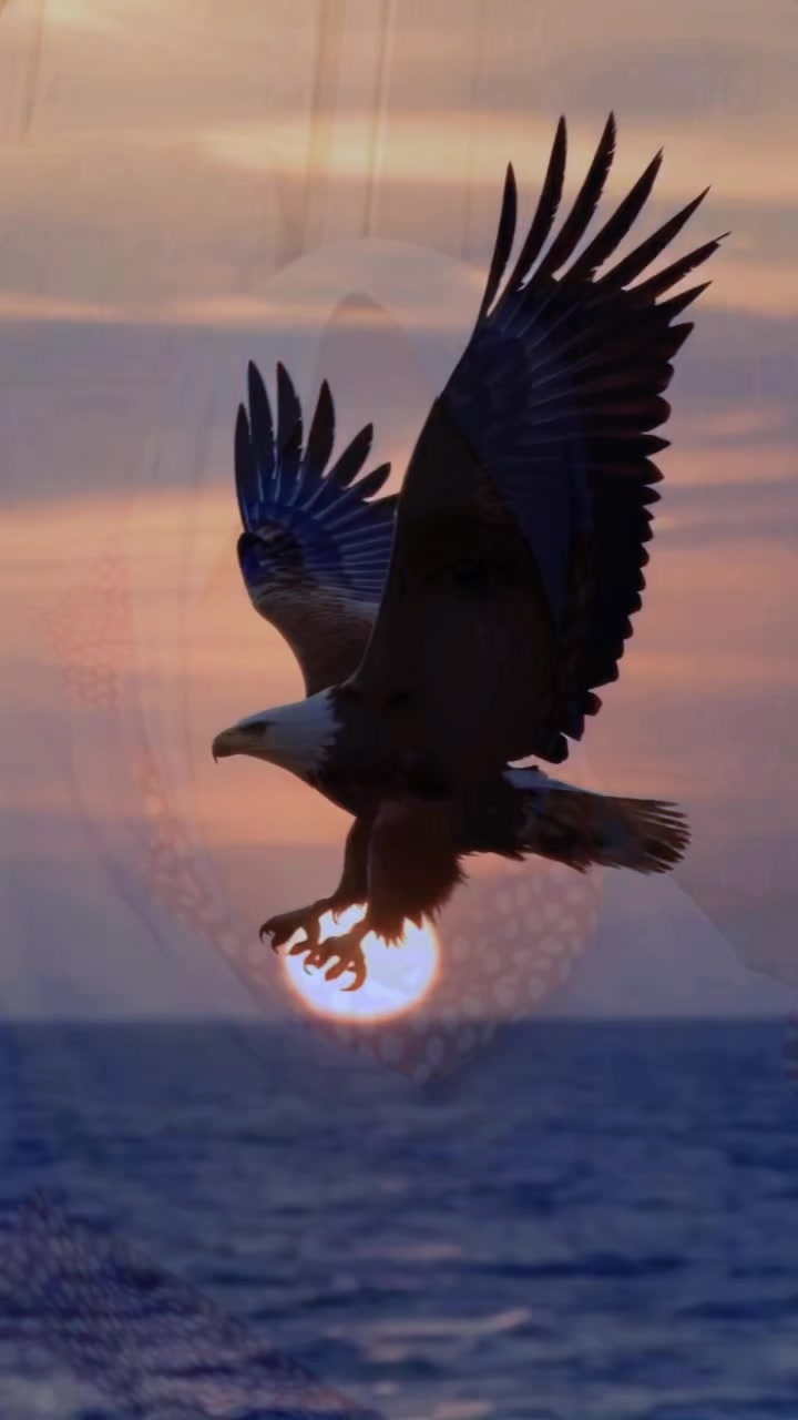 @manusr🇸🇱🇸🇱🇸🇱●■❣️❣️💞