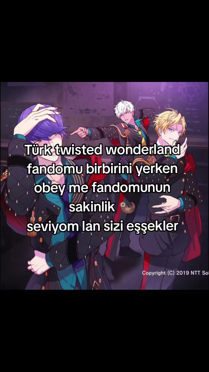 @⤷ ゛kitshy ˎˊ˗💢