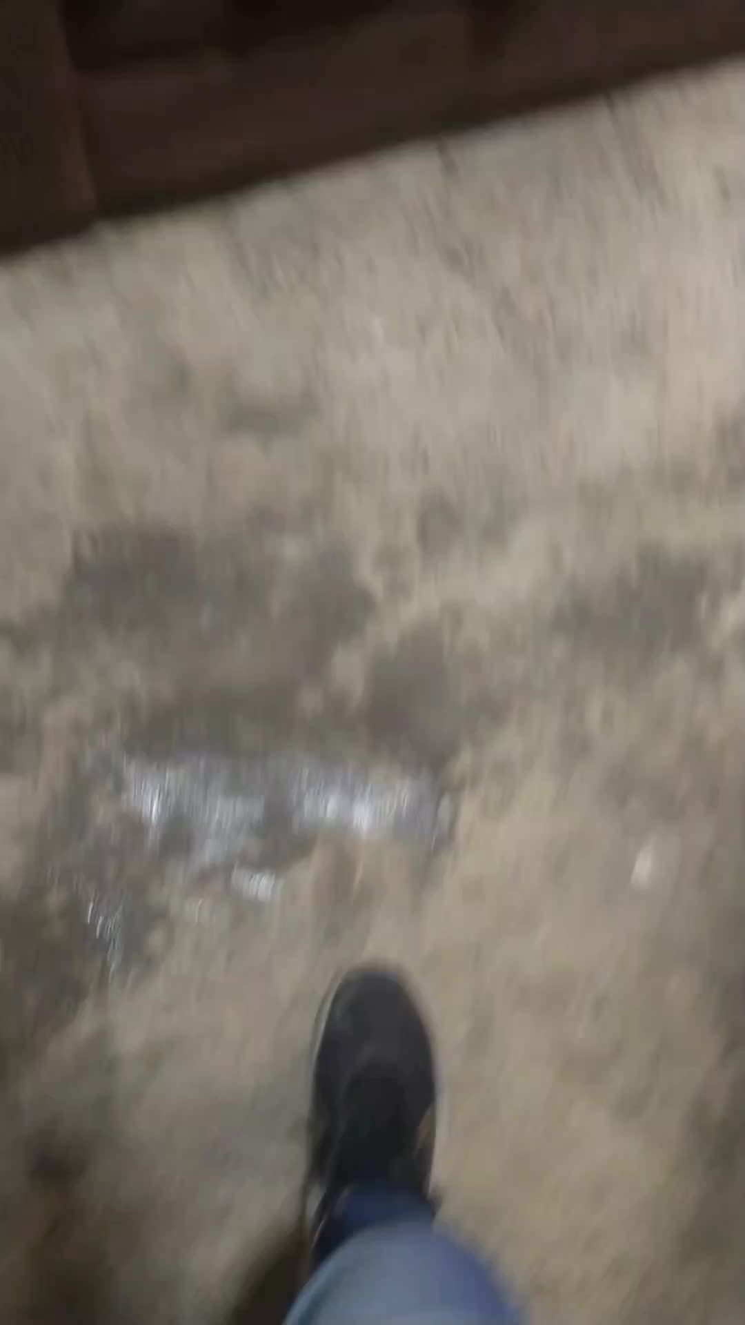 @โซทโ
โ
๐๐๐๐๐๐โ
โ
โซธ