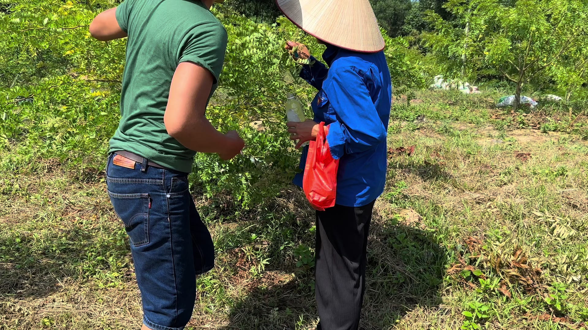@Nhà Vườn Vũ Mai