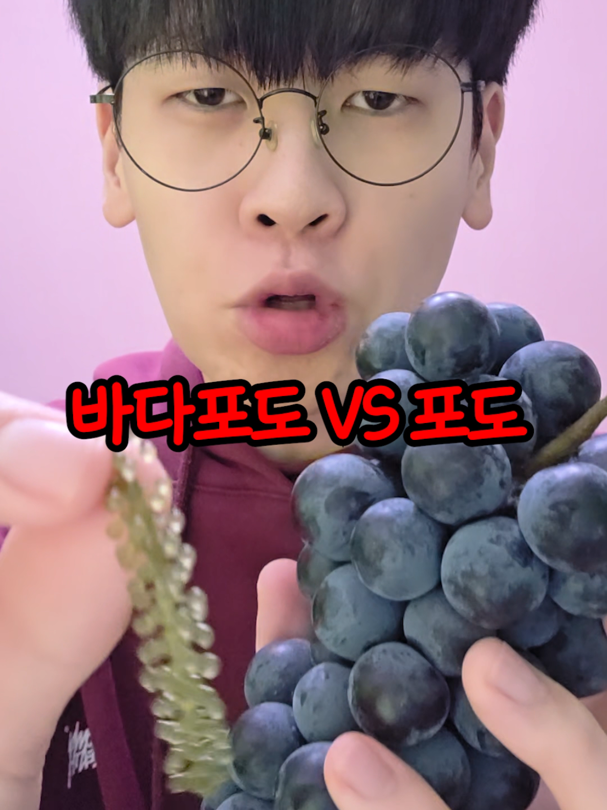 @최도전