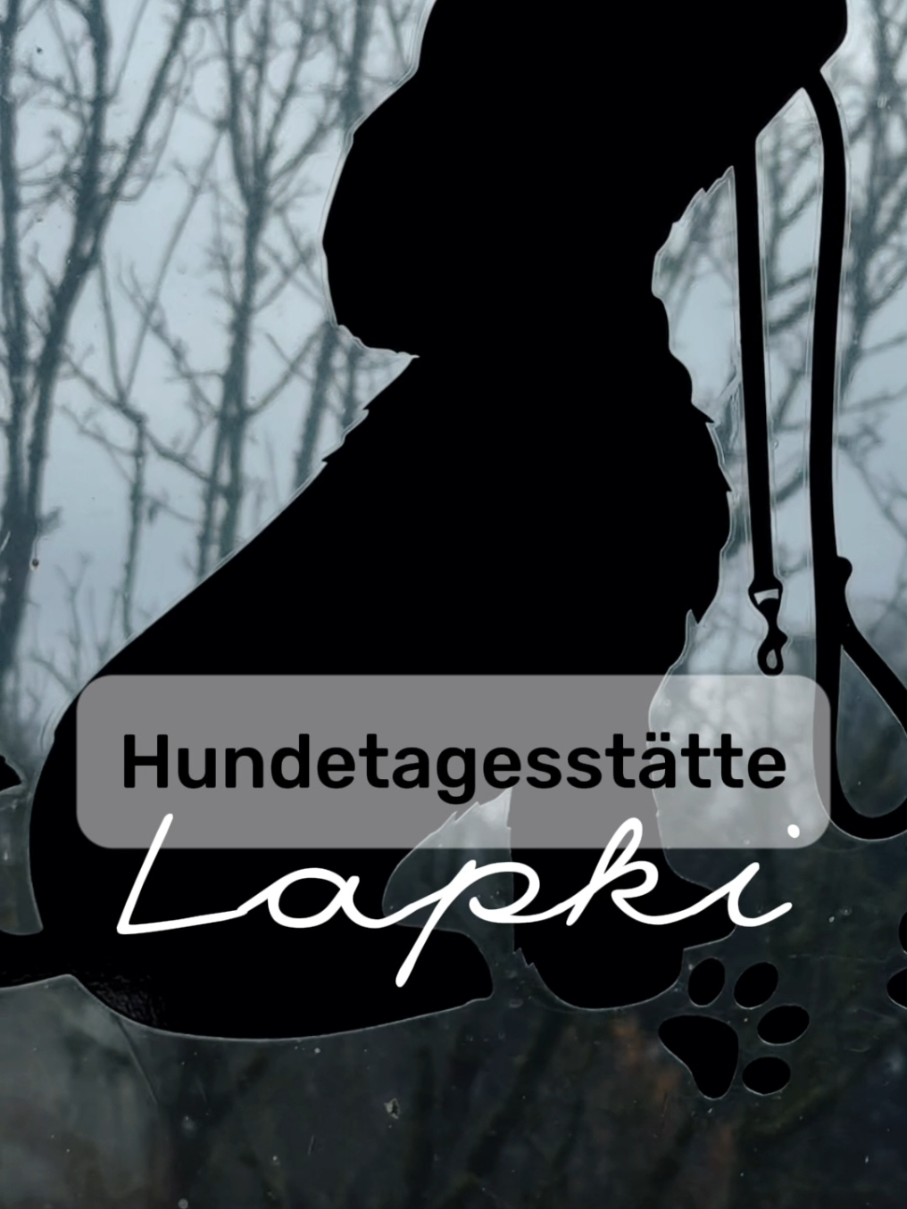 @Olesia &bull; Hundezentrum Lapki