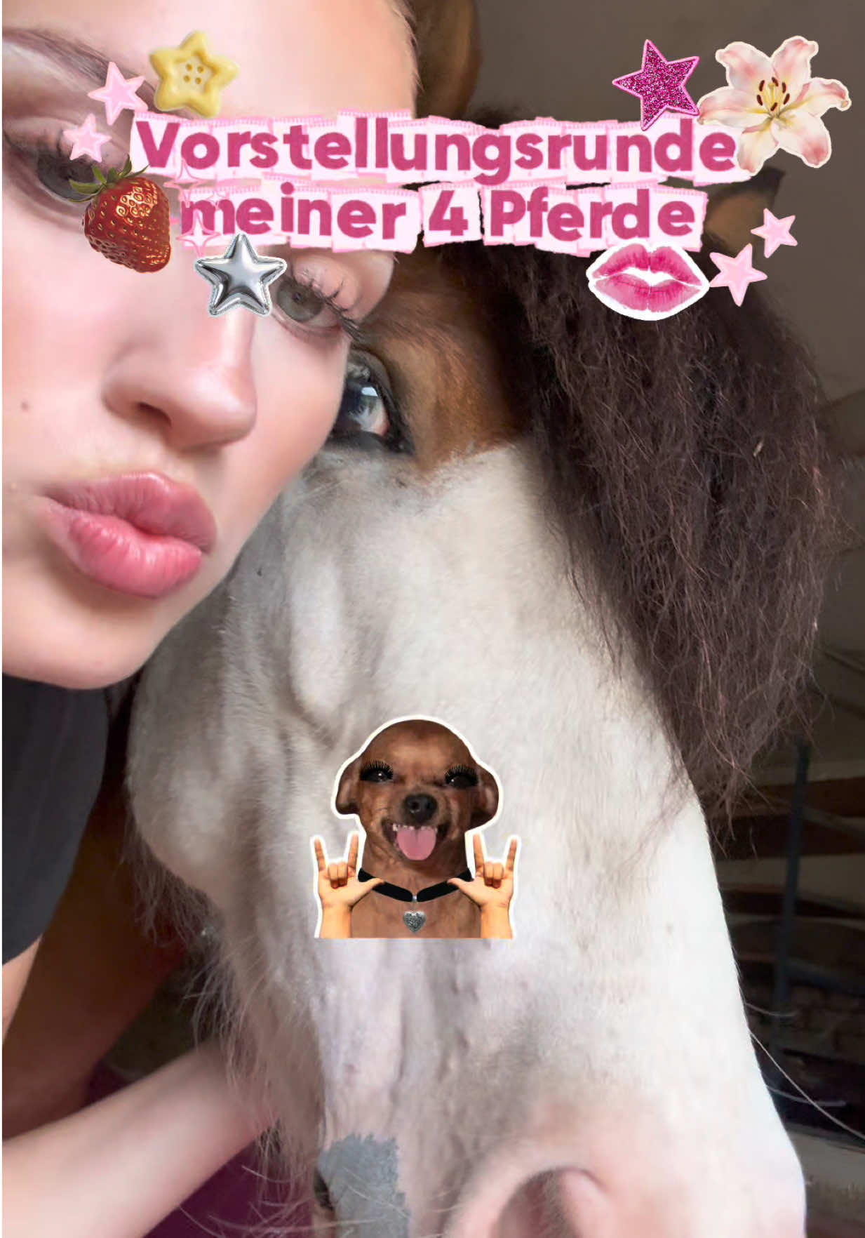 @Pferde Paradies