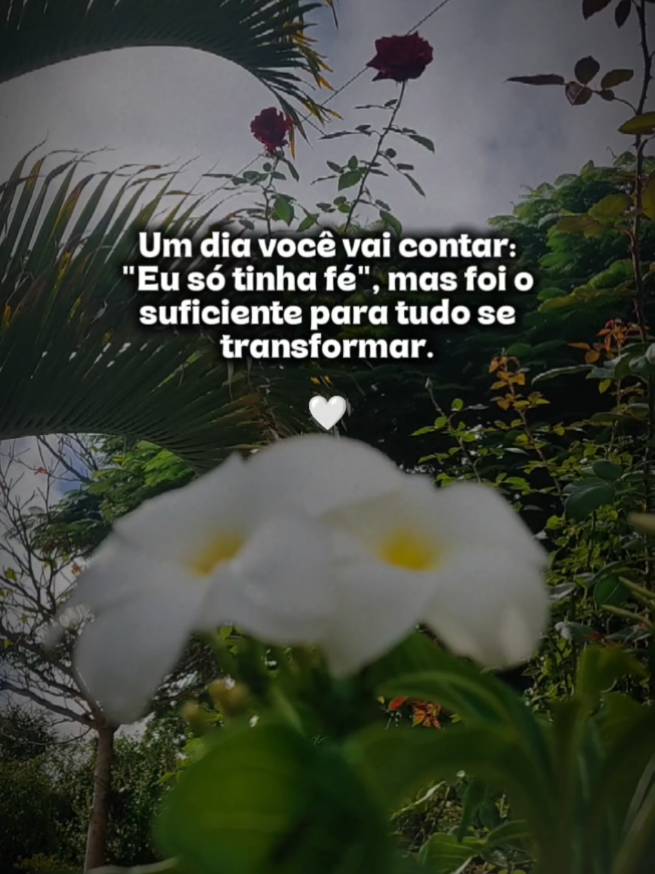 @Sítio Flor de Maria