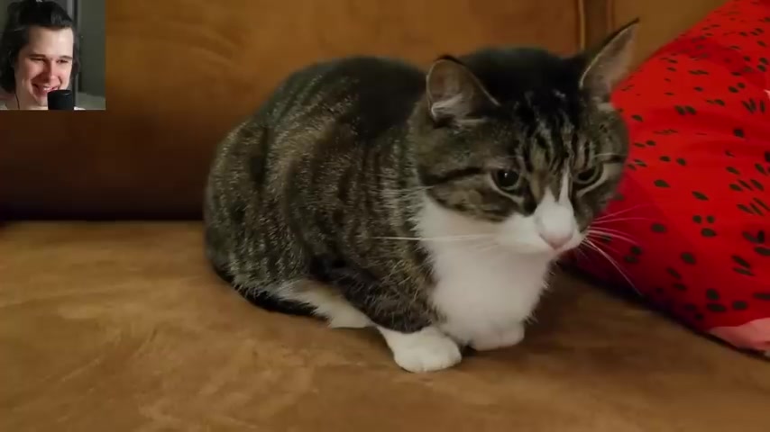 @ВиндяйТоп