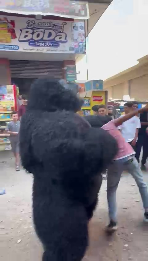 @بودا بتاع غوريلا🦍🔥