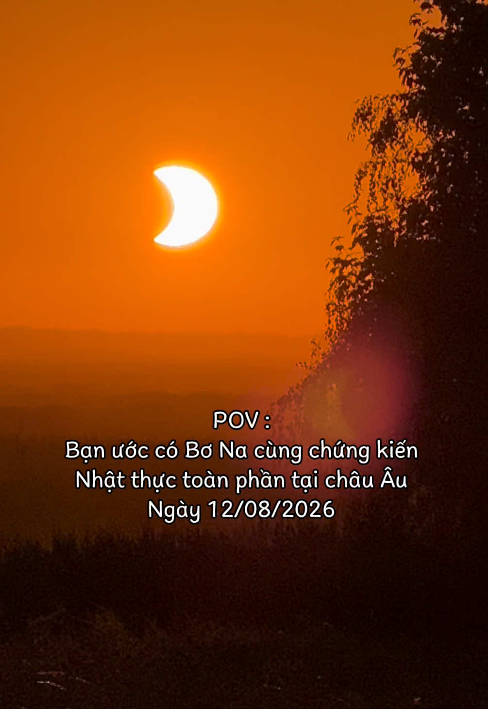 @Gia Đình AvocaBo