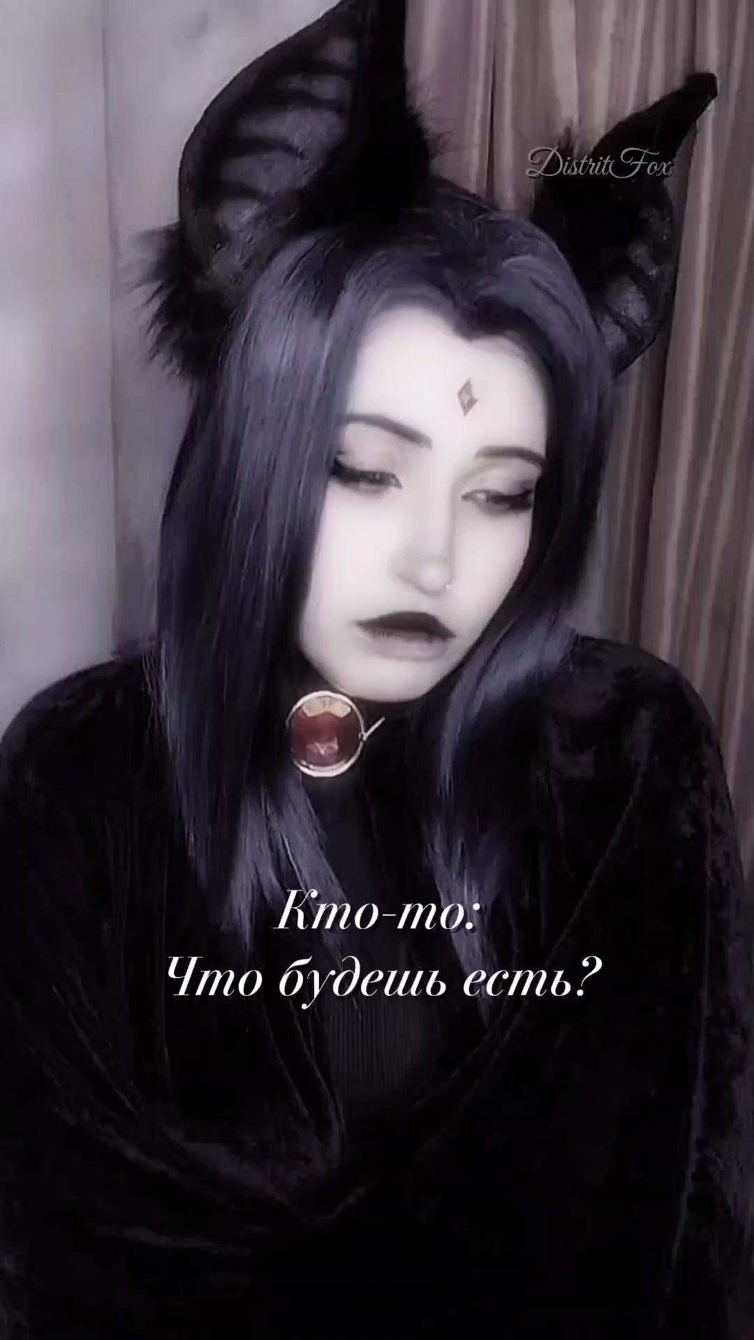 @DistritFox