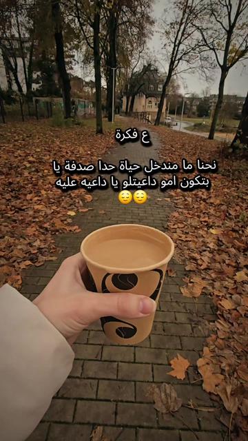 @Lelav2233