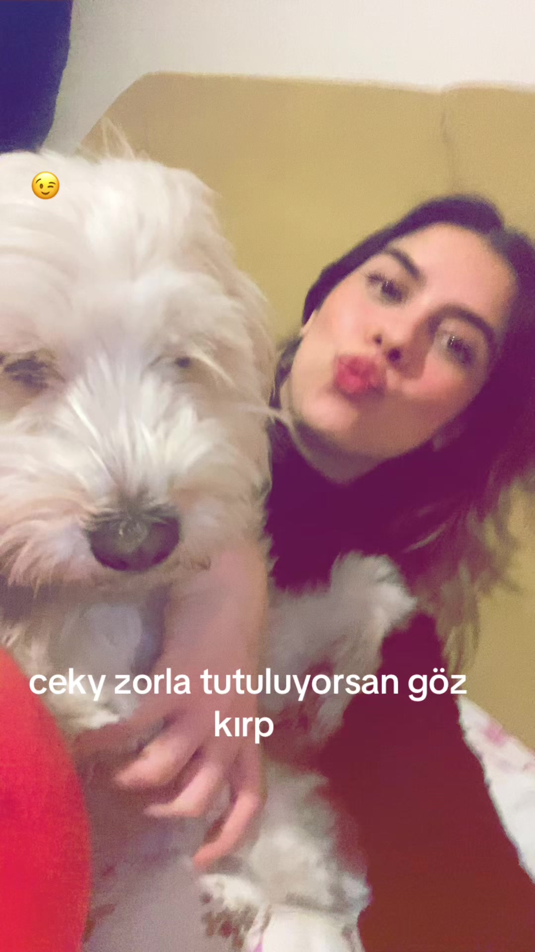 @seloss2921