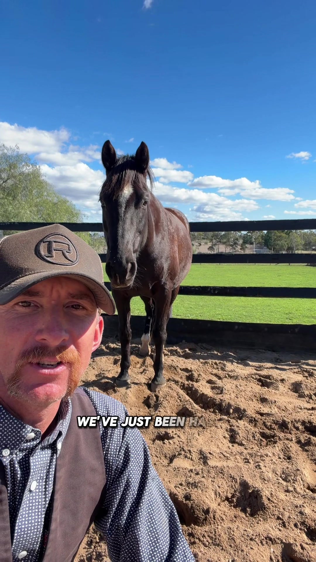 @KimDaleyhorsemanship