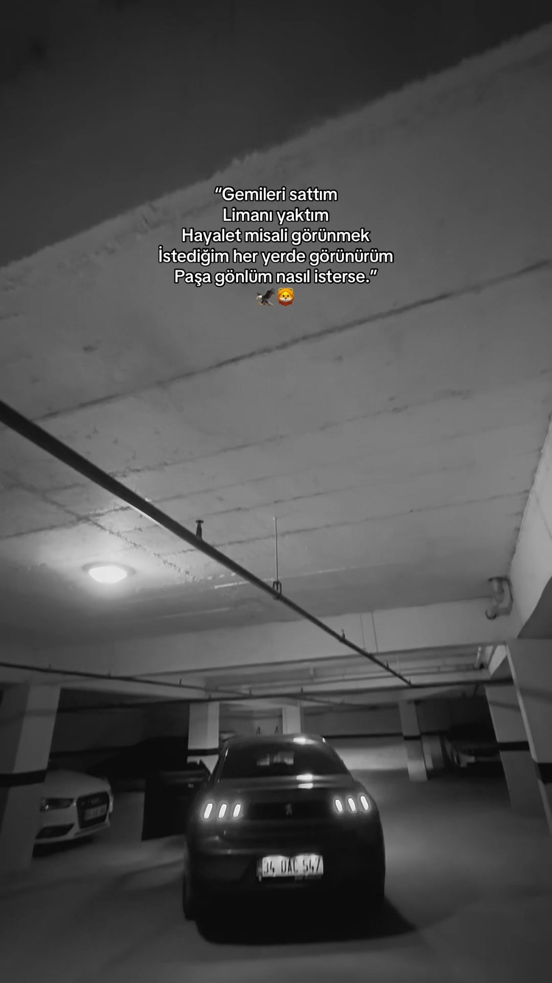 @YİĞİT DEMİRKOL