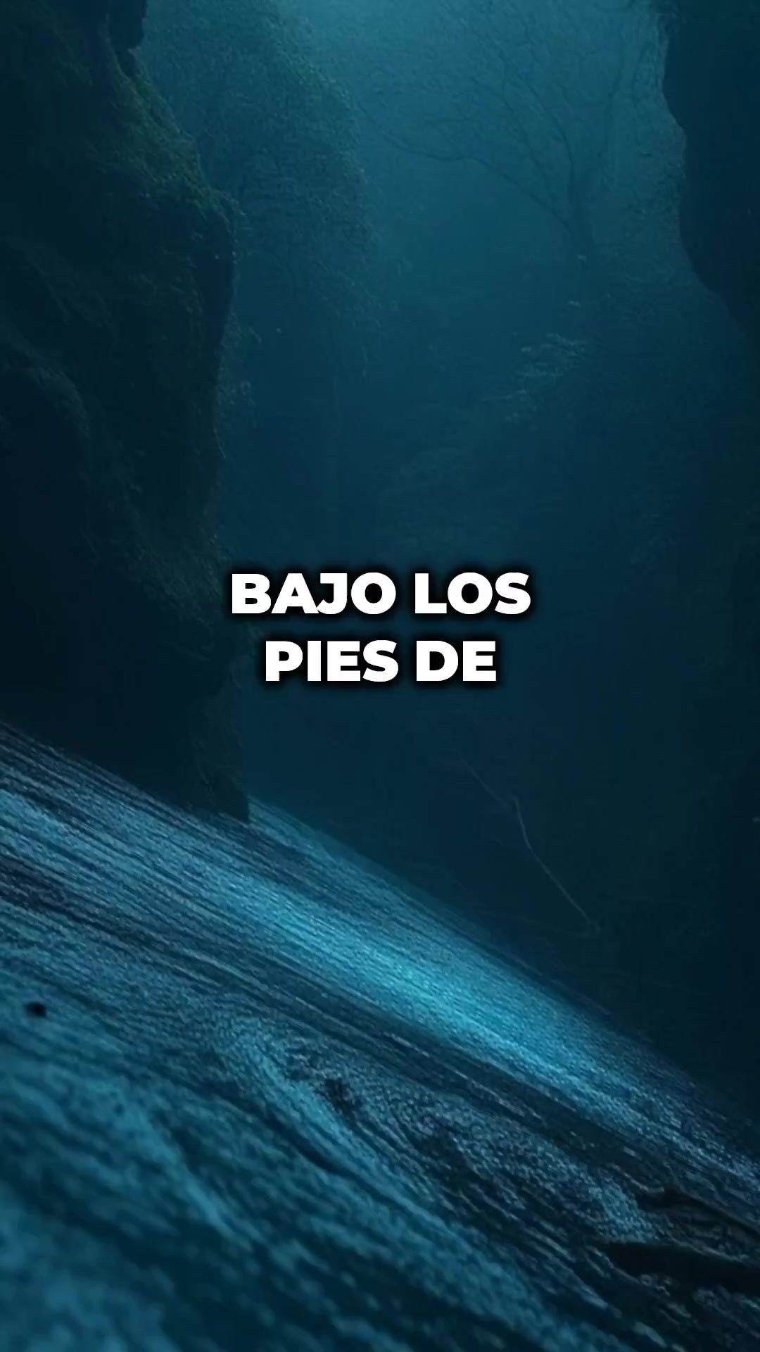 @Archivo 2050