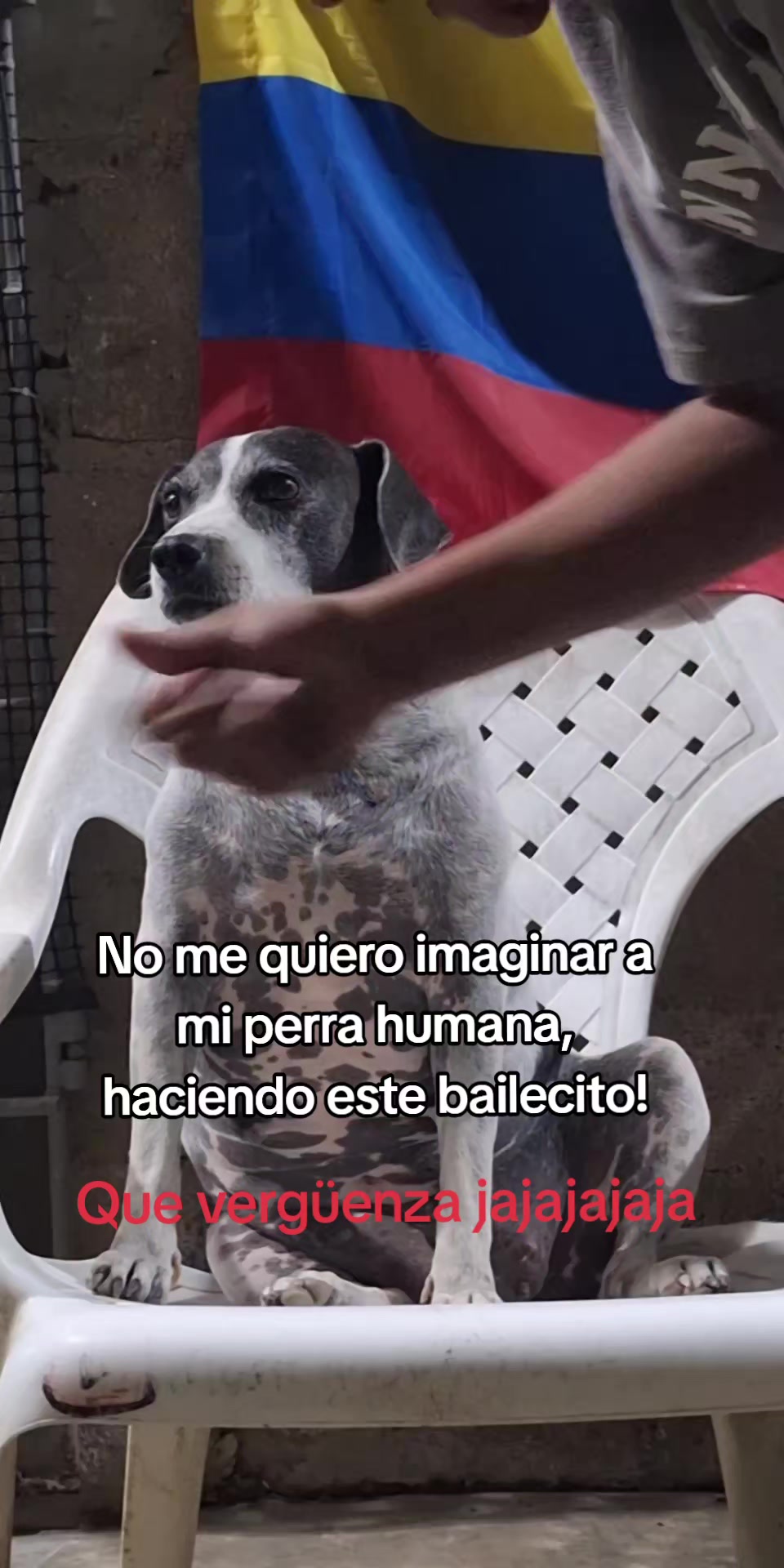 @MANCHAS 0714 OFICIAL