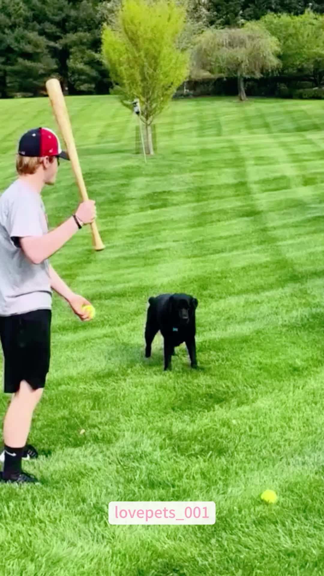 @lovepets_001